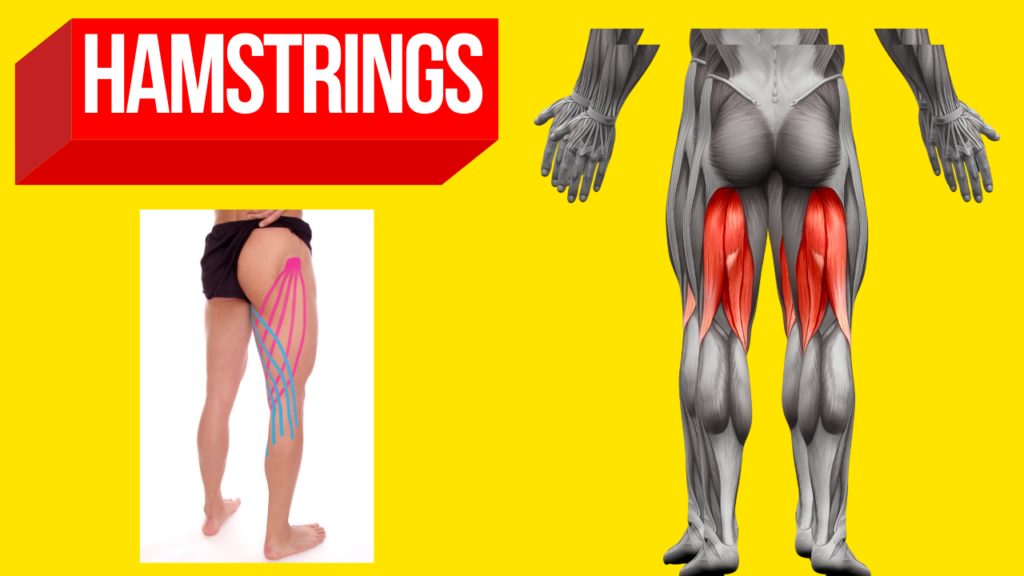 Resistance Band Leg Workout  4 Quad and Hamstring Exercises